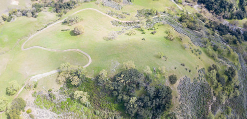 A narrow trail meanders through the green hills of the East Bay in Northern California. This open area, east of San Francisco Bay, is green in the winter due to rain and golden during the summer.