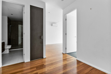 Empty and unfurnished brand new apartment