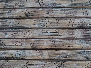 Background from wooden boards painted with paint of different colors. Wood texture.