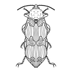 Bug illustration