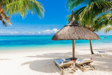 Chairs with umbrella at luxury beach with palms and blue ocean.