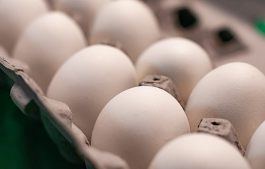 Side view of multiple white eggs in cardboard egg carton with selective focus on some of the eggs