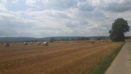 Auf einem Acker liegen Rundballen