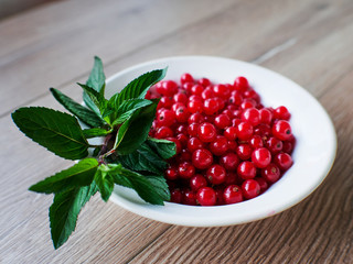Red currant berries in a plate close up. Fresh ripe red currant. Eco food concept. Natural vitamins. GMO free