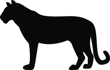Vector illustration, black silhouette on a white background, tiger.