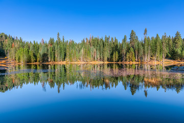 Fototapeta premium Trees are reflected in the water surface of the lake in Sequoia and Kings Canyon National Park. USA
