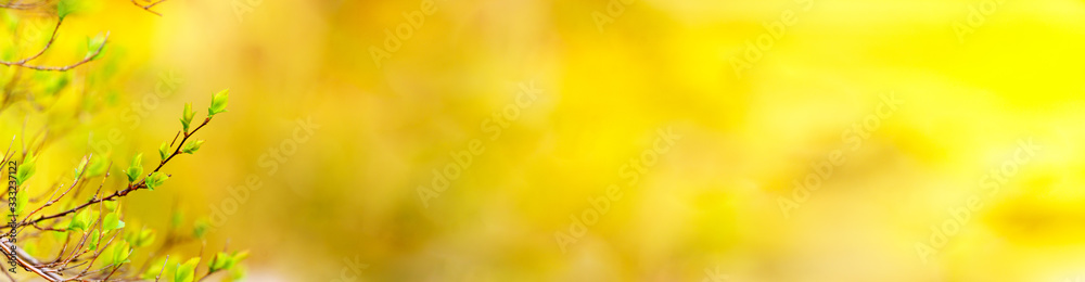 Wall mural panoramic view of new buds on colourful bokeh background in early spring. abstract background