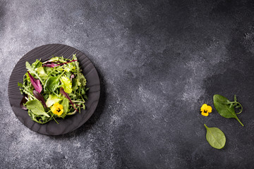 Salad from a fresh mix of leafy greens. Antiviral healthy food. Vitamins.