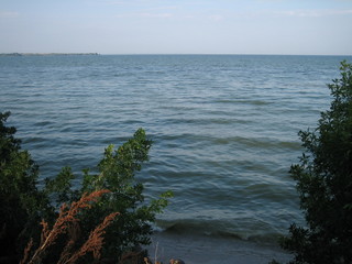 A faint wave is breaking on the sandy beach. Trees and bushes grow on the Bank. It's getting late.