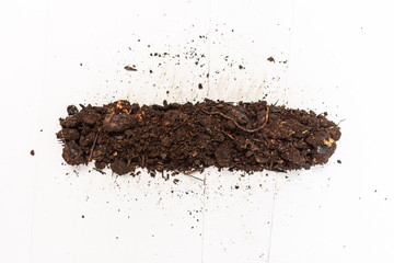 earth