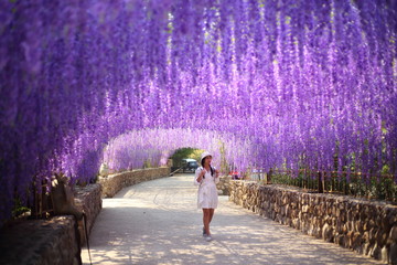 A woman walking in flower tunnel of Cherntawan International Meditation Center in Chiang Rai, Thailand
