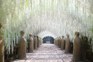 Flower tunnel in Cherntawan International Meditation Center in Chiang Rai, Thailand