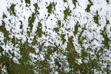 The grass is covered with white snow. Cold spring morning. Patterns of snow
