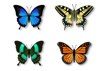 Fototapeta na wymiar set of colorful butterflies