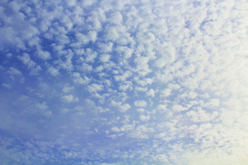 Beautiful cirrus clouds and sunlight. Background. Landscape.