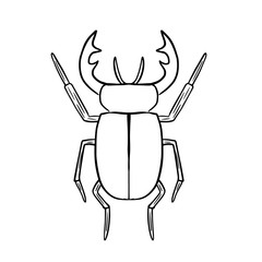 vector illustration coloring insect beetle deer on white background isolated drawing