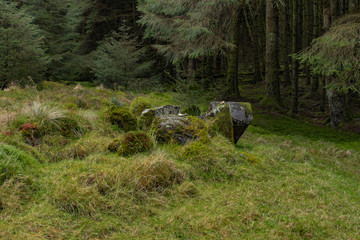 Double Horned Cairn Chambered Grave stones in Ballypatrick forest, Ballycastle, Causeway coast and glens, County Antrim, Northern Ireland
