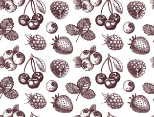 Wild berry seamless pattern drawing. Hand drawn vintage vector background.