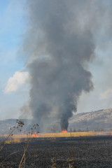 fire and smoke in field