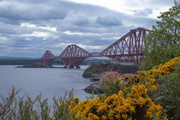 bridge over the river