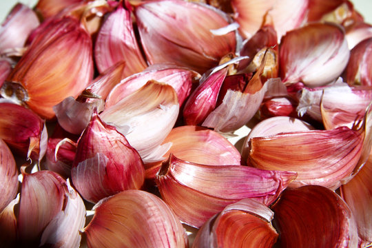 Allicine Bilder Durchsuchen 659 Archivfotos, und