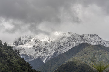 Fototapeta na wymiar snow and peaks loom out of clouds at Franz Josef Waiau, West Coast, New Zealand