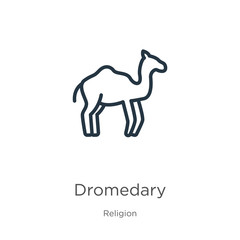 Dromedary icon. Thin linear dromedary outline icon isolated on white background from religion collection. Line vector sign, symbol for web and mobile