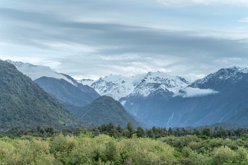 Fototapeta na wymiar snowy Roon peak out of green forest at Franz Josef Glacier touristic village, West Coast, New Zealand