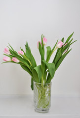 bouquet of tulips in vase on white background