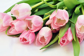 Obraz premium bouquet of tulips on white background