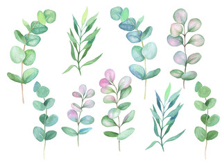  Watercolor illustration with eucalyptus green pink leaves.