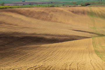 Naklejka premium Rolling fields of Moravian Tuscany in the Czech Republic.