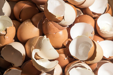 broken eggs shells concept background