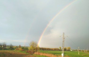 rainbow over field