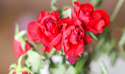 Bouquet of beautiful red roses