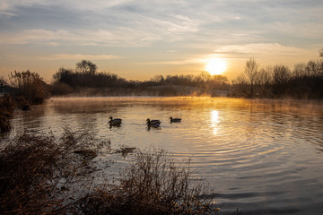 tramonto al lago Parco Nord Milano
