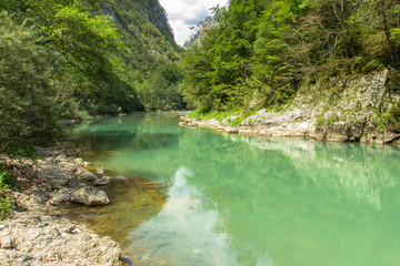 Mountain forest river landscape with clear water and stones. Fresh water.