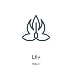 Lily icon. Thin linear lily outline icon isolated on white background from nature collection. Line vector sign, symbol for web and mobile