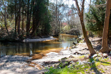 bohemian park fairhope alabama 