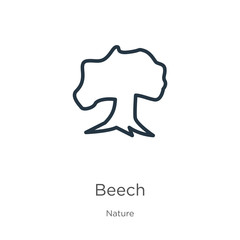 Beech icon. Thin linear beech outline icon isolated on white background from nature collection. Line vector sign, symbol for web and mobile