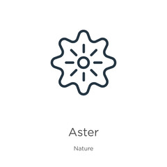Aster icon. Thin linear aster outline icon isolated on white background from nature collection. Line vector sign, symbol for web and mobile