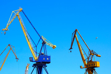 beautiful yellow naval cranes, standing out against the azure blue sky of the port of Piraeus, near Athens in Greece