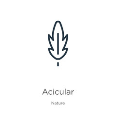Obraz premium Acicular icon. Thin linear acicular outline icon isolated on white background from nature collection. Line vector sign, symbol for web and mobile