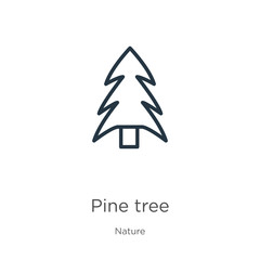 Pine tree icon. Thin linear pine tree outline icon isolated on white background from nature collection. Line vector sign, symbol for web and mobile