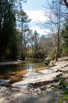 bohemian park in fairhope alabama winding river in cypress trees