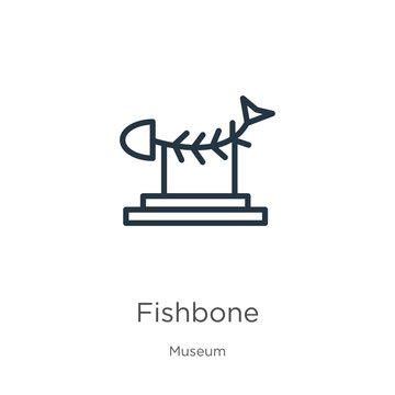 Fishbone icon. Thin linear fishbone outline icon isolated on white background from museum collection. Line vector sign, symbol for web and mobile
