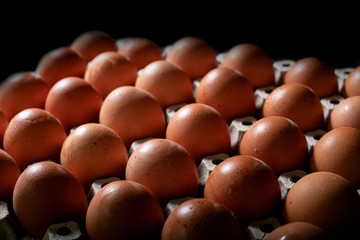 Eggs carton with chicken egg lined up in rows at black background
