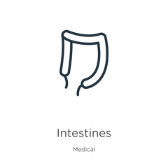 Intestines icon. Thin linear intestines outline icon isolated on white background from medical collection. Line vector sign, symbol for web and mobile