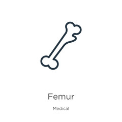 Femur icon. Thin linear femur outline icon isolated on white background from medical collection. Line vector sign, symbol for web and mobile