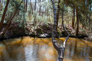 bohemian park in fairhope alabama winding river in cypress trees